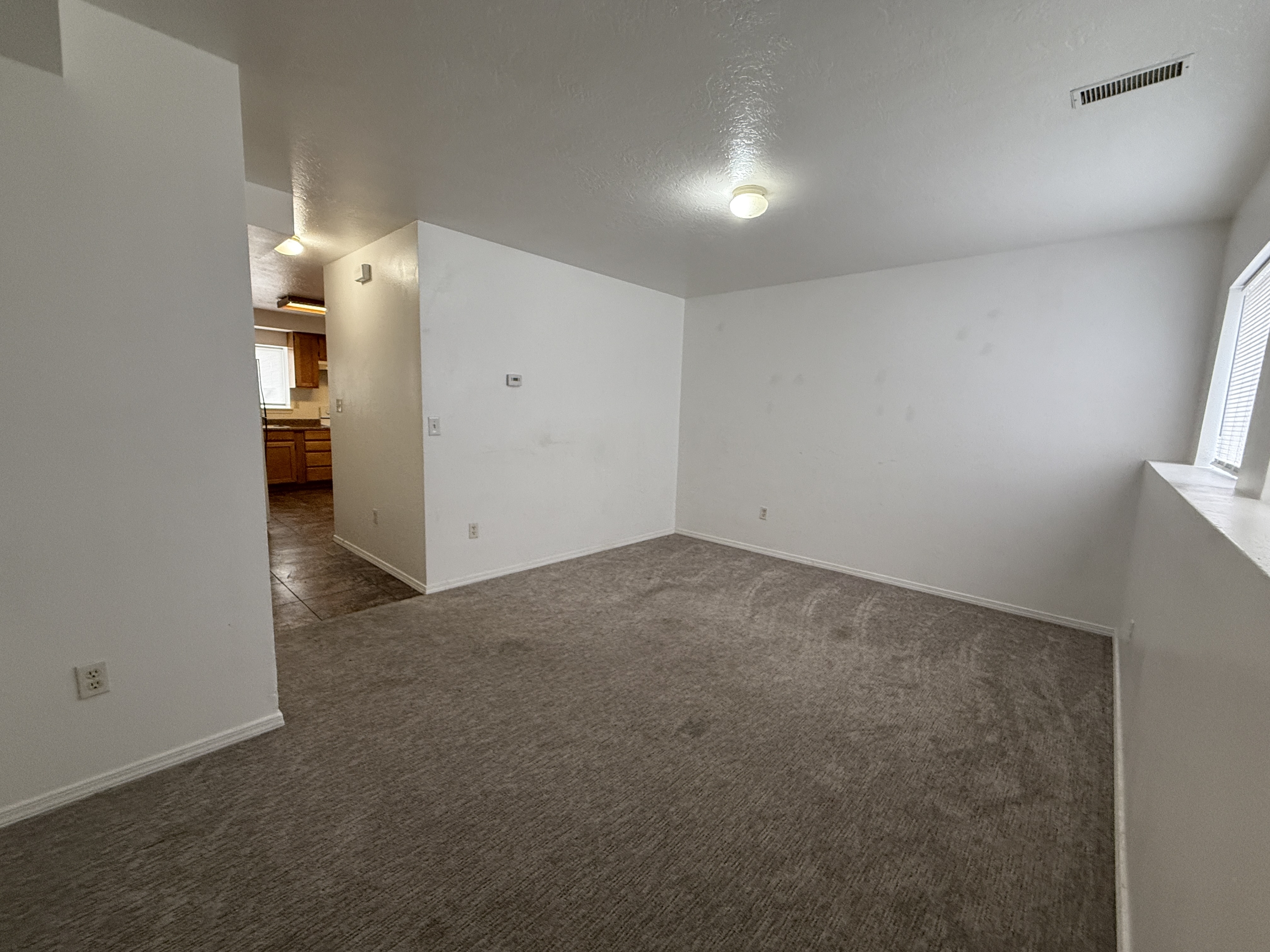 565 Opal Street - 3